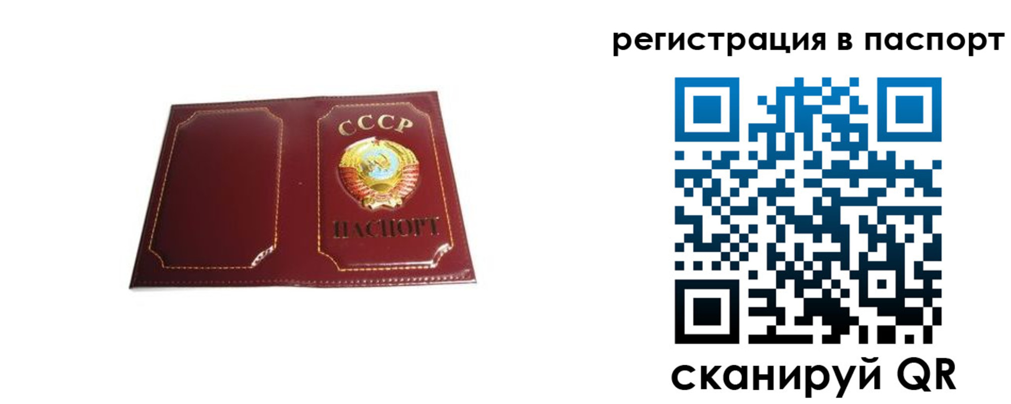 прописка 2025 в Сорочинске
